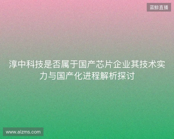 淳中科技是否属于国产芯片企业其技术实力与国产化进程解析探讨